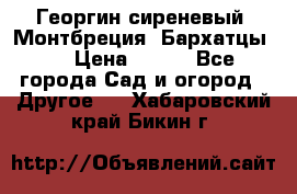 Георгин сиреневый. Монтбреция. Бархатцы.  › Цена ­ 100 - Все города Сад и огород » Другое   . Хабаровский край,Бикин г.